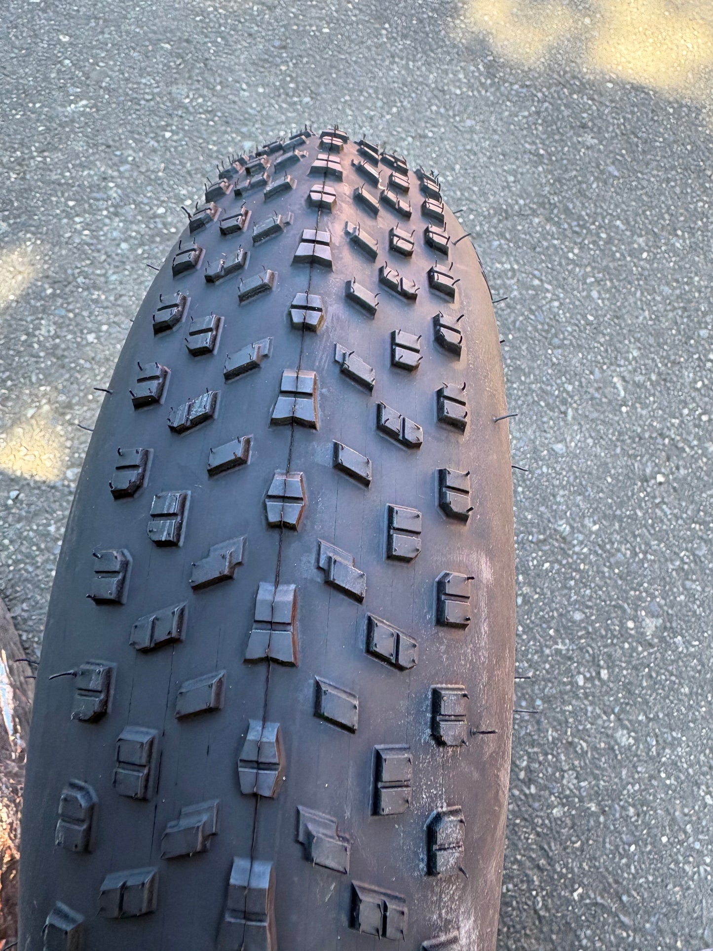 20X4.0 E Bike Tires  MSRP:$69.99