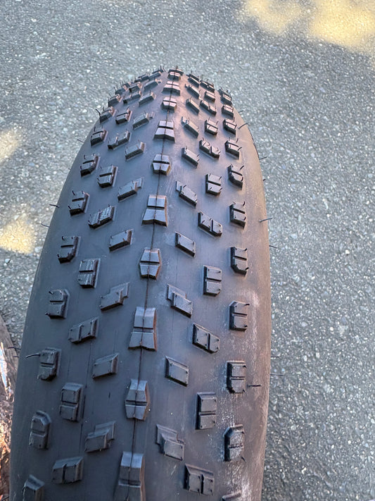 20X4.0 E Bike Tires  MSRP:$69.99